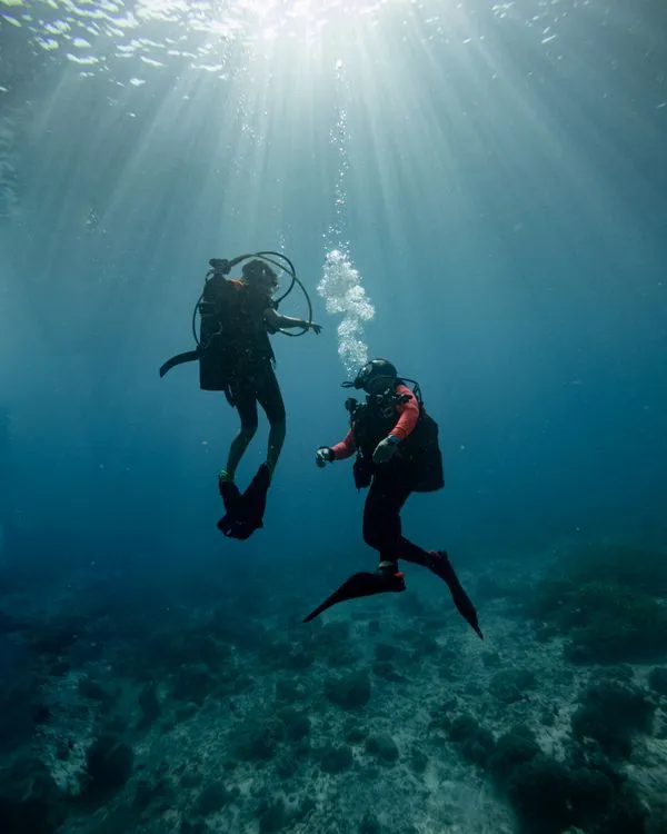 The descent